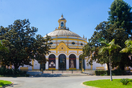 Catalina de Rivera gardens in the city of Seville, Spainの写真素材