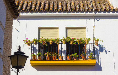 Typical windows with grilles and decorative flowers in the city of Cordoba, Spainの写真素材