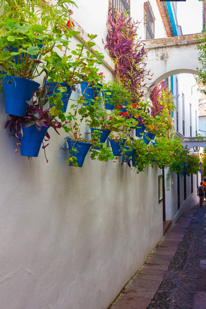 Streets decorated with bows and barred windows typical of the city of Cordoba, Spainの写真素材