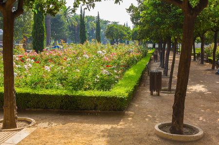 paths to stroll through the gardens of the Parque de Malaga, Spainの写真素材