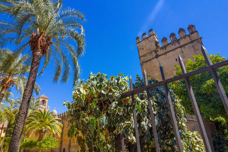 Walls and gardens of the Alcazar de Cordoba, Spainのeditorial素材