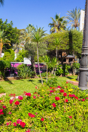 beautiful and luxurious decorated streets of the town of Puerto Banus, Malaga Spainの写真素材