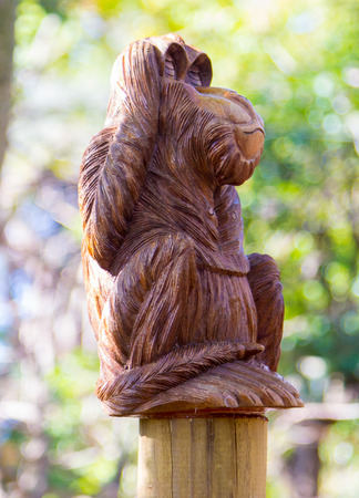 monkey covering his earsの写真素材