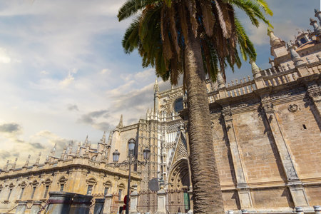 Details of the facade of the cathedral of Santa Maria La Giralda in Seville, Spainの写真素材