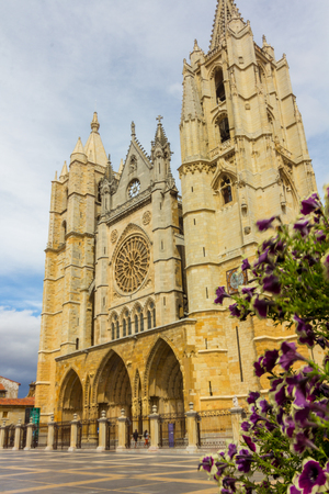 Famous Cathedral of Leon in Spainの写真素材