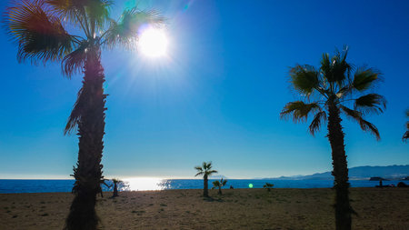 Secluded beach with palm trees in Almeria, Spain