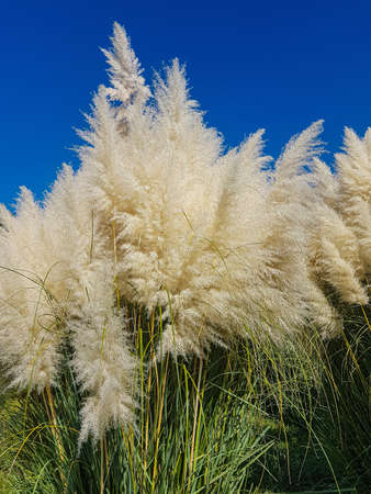 Madrid, Spain 08/16/2019: outdoor areas of a factory at nightのeditorial素材