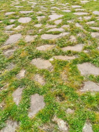 texture of some stones with grassの写真素材