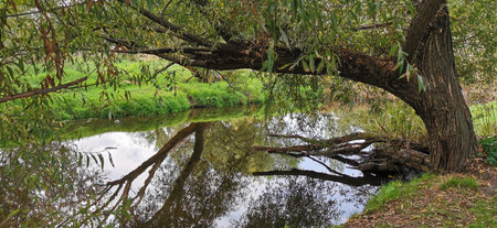 Calm lakeside view on a clear day with gentle ripples reflecting surrounding rocks and grassy shoreの写真素材