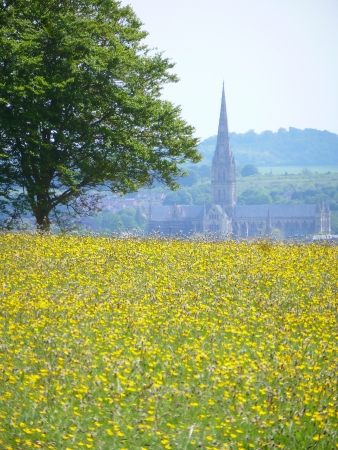 Salisbury Cathedralの写真素材