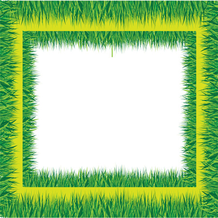 grass borderのイラスト素材