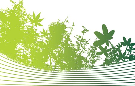 woodland backgroundのイラスト素材