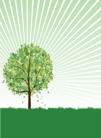 tree silhouetteのイラスト素材
