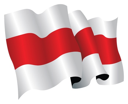 the belarus national flagのイラスト素材