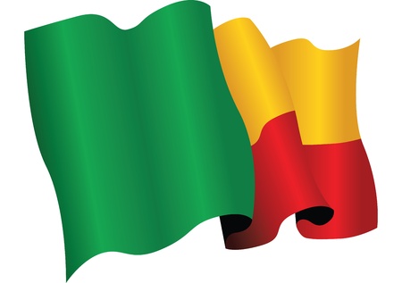 benin flagのイラスト素材
