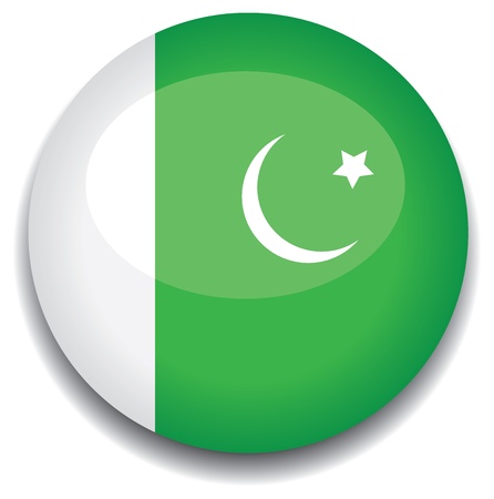 pakistan flag in a buttonのイラスト素材