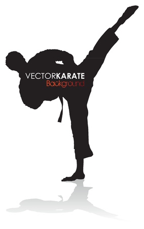 karate silhouetteのイラスト素材