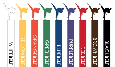 karate beltsのイラスト素材
