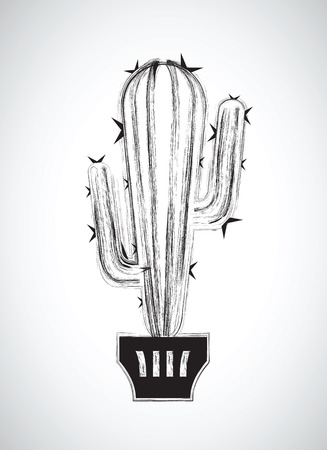 a black and white cactusの写真素材