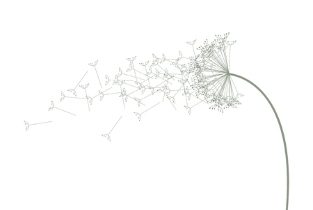 a light coloured green dandelionのイラスト素材