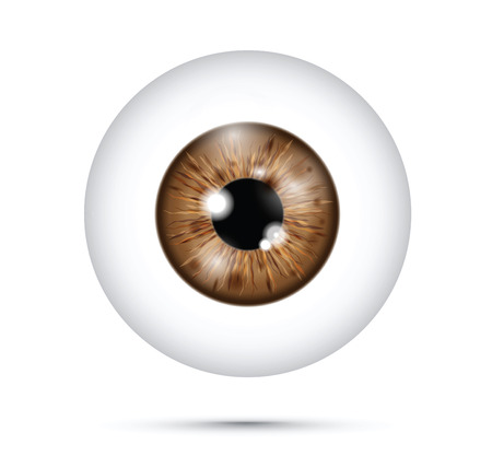 brown realistic eyeballのイラスト素材