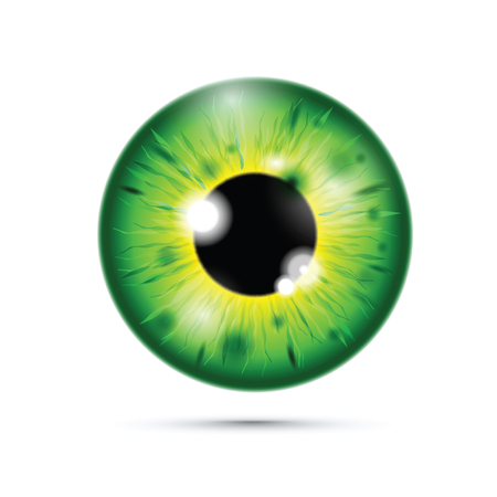 green realistic eyeballのイラスト素材