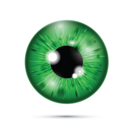 green realistic eyeballのイラスト素材
