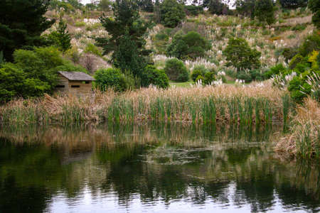 Bird-watching hut next to the lake and amongst the reeds in Berwick Botanical Gardensの写真素材