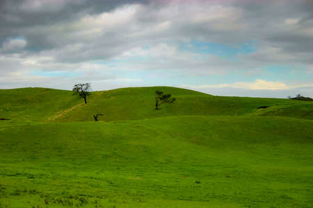 Rolling green hills covered in soft flowing grassの写真素材