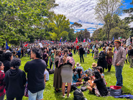 Melbourne, Victoria Australia - November 20 2021: Flagstaff Gardens Park Thousands of peaceful protestors gather fighting for Freedom and to Kill the Billのeditorial素材