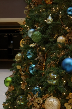 Christmas Tree Detailの写真素材