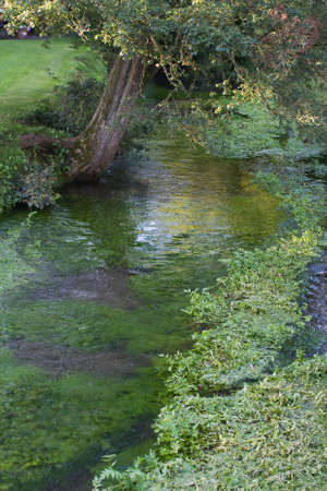 A fast flowing stream on a later summerの写真素材