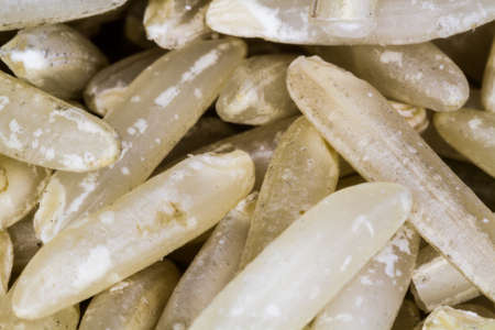 A high-magnification macro image of individual brown basmati rice grains. Each grain of rice is just a few mm long.の写真素材