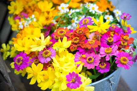 Colorful flower bouquetの写真素材