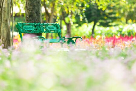 Muang Samut Prakan / Thailand September, 02,2018 Green chair in the middle of a beautiful bokeh background flowerの写真素材