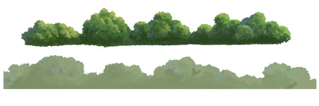 tree for cartoon isolated on white backgroundの写真素材