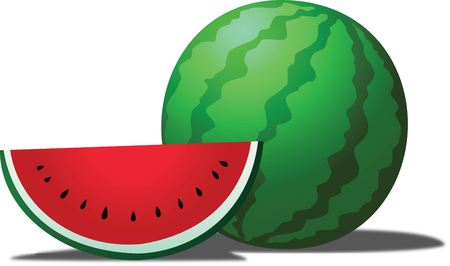 Watermelon is a tropical fruit, sweet and eaten fresh.のイラスト素材