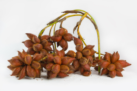 Salak is a type of palatable fruit and sweet and sour taste.の写真素材