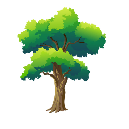 vector illustration for tree on white backgroundのイラスト素材