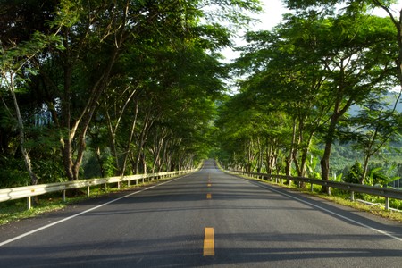 Road to green of Takuapaの写真素材