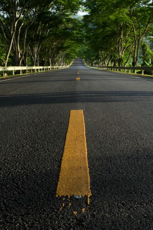 Road to green of Takuapaの写真素材