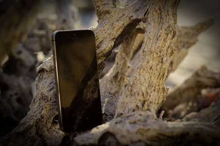 Telephone in treeの写真素材