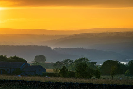 Sunset over summer meadows. Yorkshire