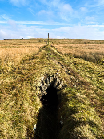 Dartmoor National Park, England, UKの写真素材
