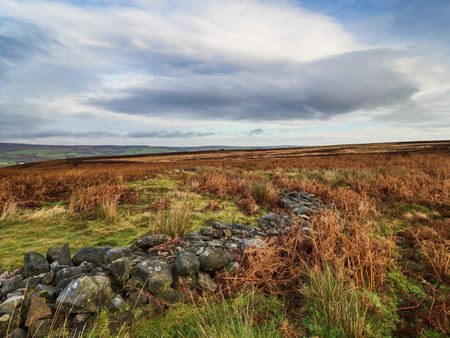 Dramatic Autumn Fall landscape image of a dry stone wall on the yorkshire woldsの写真素材