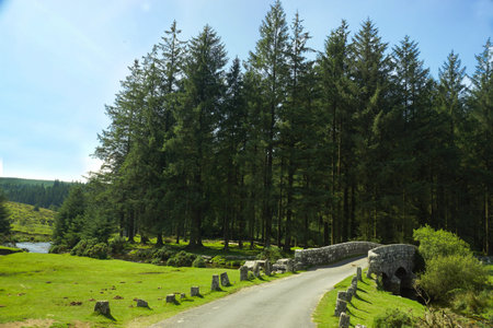 The East Dart River located in Belever in Dartmoor National Park in Devon, UK