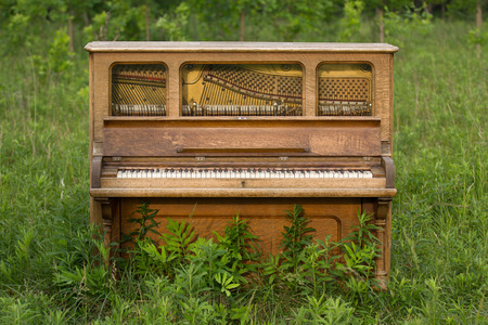 Old upright piano left in a field.の写真素材