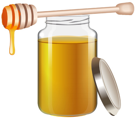 HONEYのイラスト素材