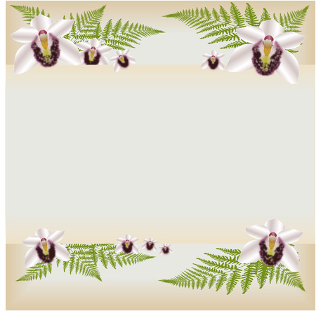 ORCHID BACKGROUNDのイラスト素材