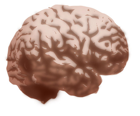 BRAIN